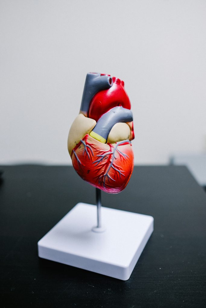 Top Ways To Prevent Heart Disease Top Ways To Prevent Heart Disease