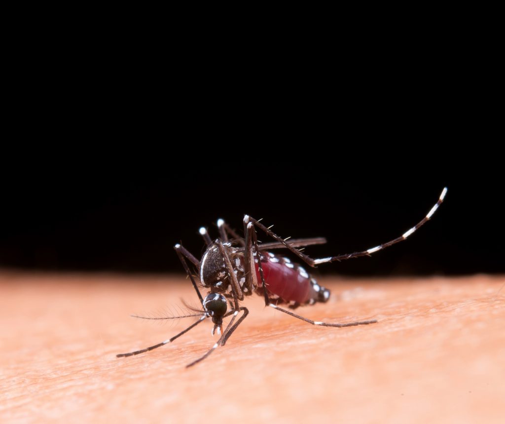 Know About Rare Illness, Life-Threatening Complications