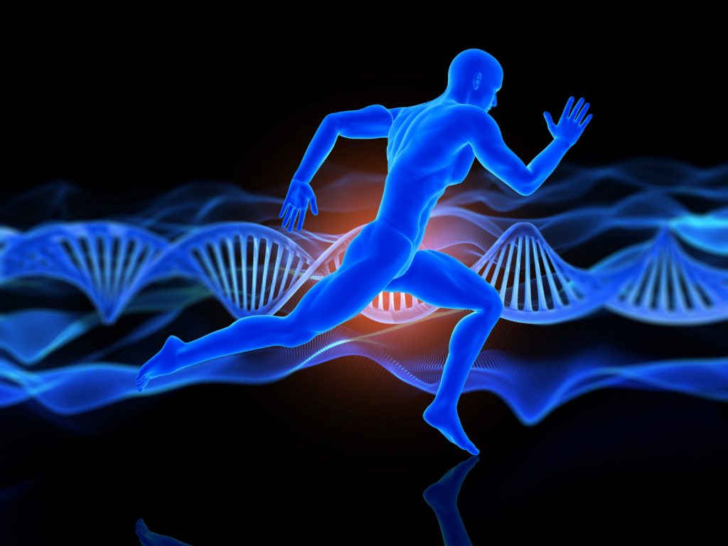 Top Choices For Enhanced Recovery, Gut Health And Immune Support