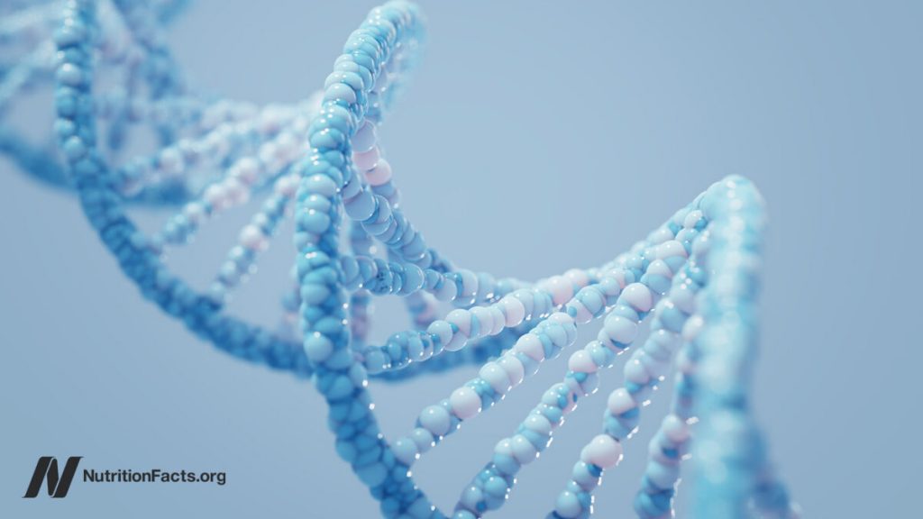 What Is the Role of Our Genes in the Obesity Epidemic? 