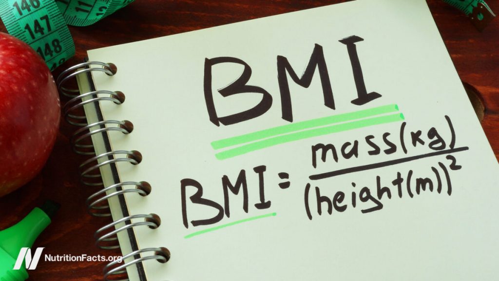 An Ideal BMI An Ideal BMI