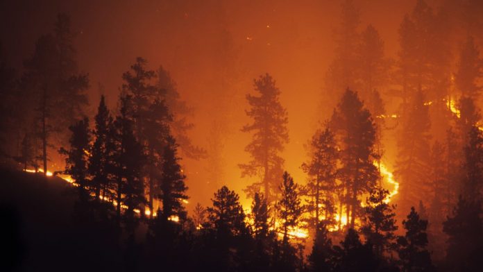 Wildfires and Your Safety | Wildfires