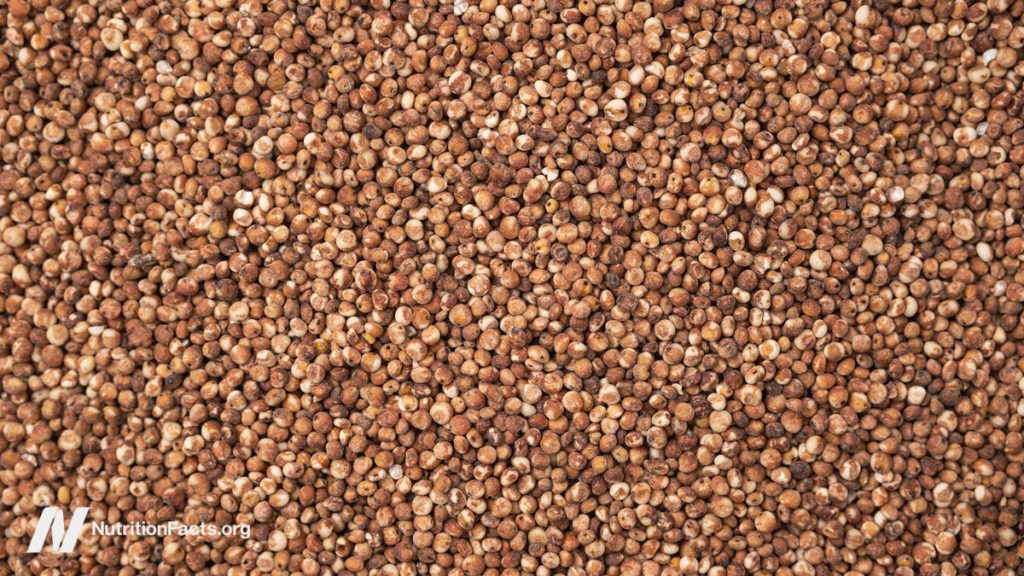 Is Sorghum a Healthy Grain? 