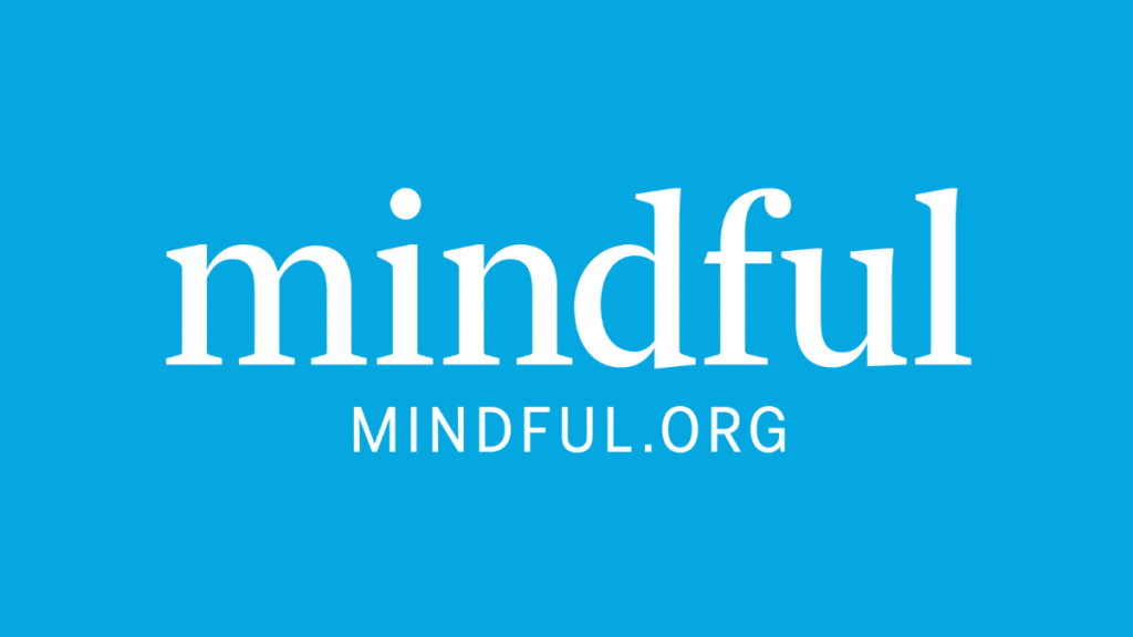 Terms and Conditions – Mindful Terms and Conditions – Mindful