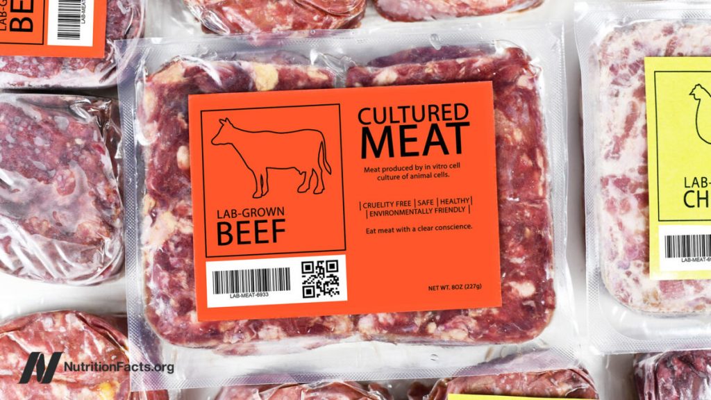 Food Safety and Cultivated Meat Food Safety and Cultivated Meat