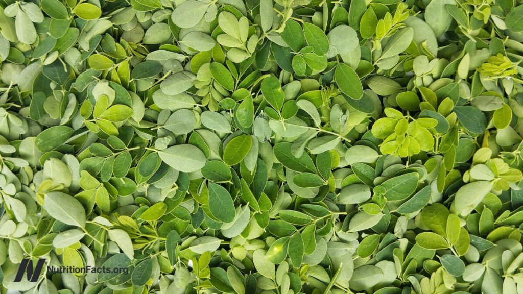 Is Moringa the Most Nutritious Food? 