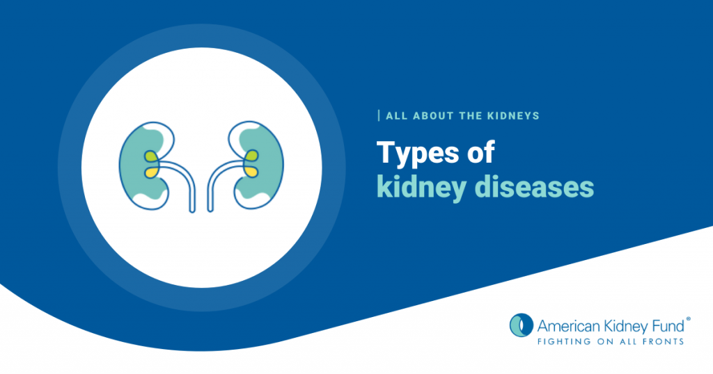 Types of Kidney Disease – American Kidney Fund Types of Kidney Disease – American Kidney Fund