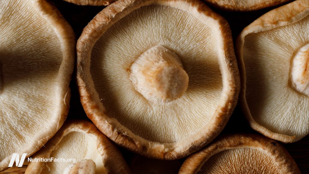 Cancer Survival and Medicinal Mushrooms