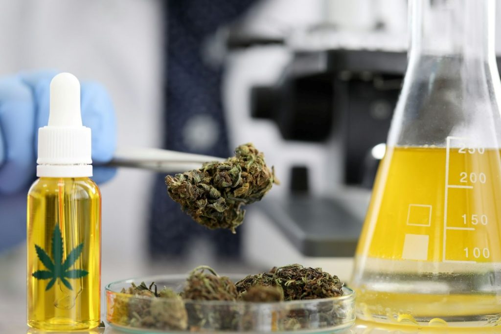 California Cannabis Shines a Light on the Practical Uses of Cannabis California Cannabis Shines a Light on the Practical Uses of Cannabis