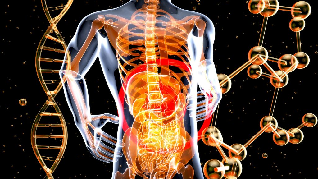 The Science of Bacteria in the Human Body
