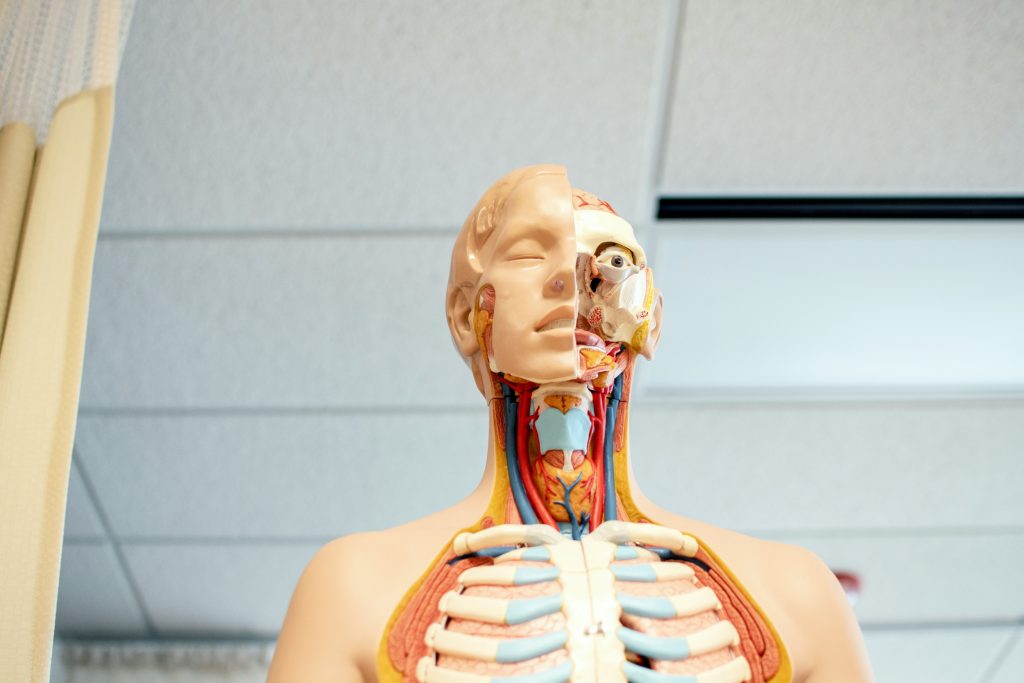 Key Hypothyroidism vs. Hyperthyroidism Signs You Shouldn’t Ignore Key Hypothyroidism vs. Hyperthyroidism Signs You Shouldn’t Ignore