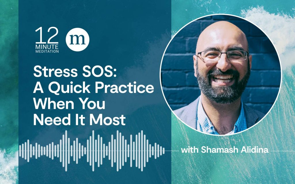 Busy Times, or Anytime: Nine Ways Mindfulness Reduces Stress Busy Times, or Anytime: Nine Ways Mindfulness Reduces Stress
