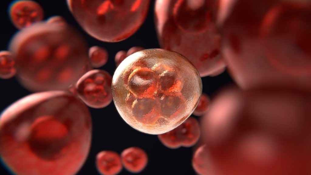 How Longevity Science is Revolutionizing Cellular Repair for a Longer Life