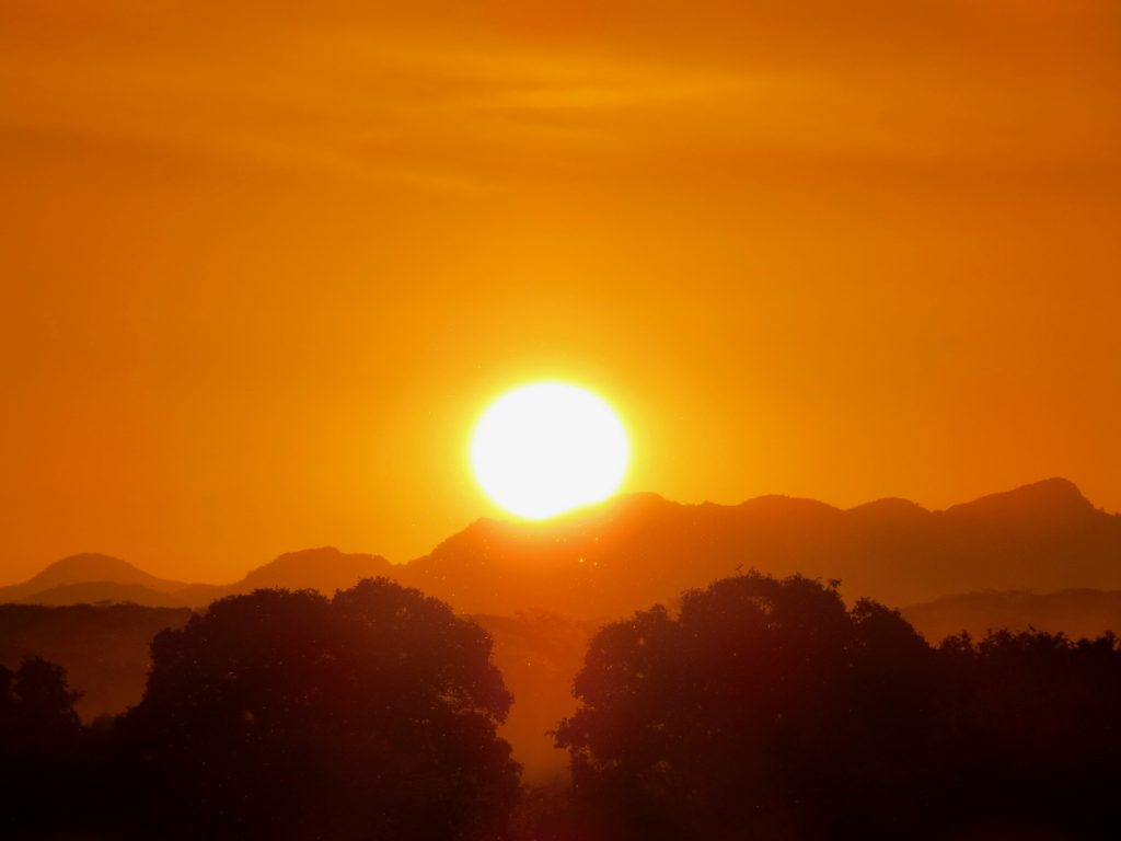Key Warning Signs of Summer Disease and Heat Exhaustion