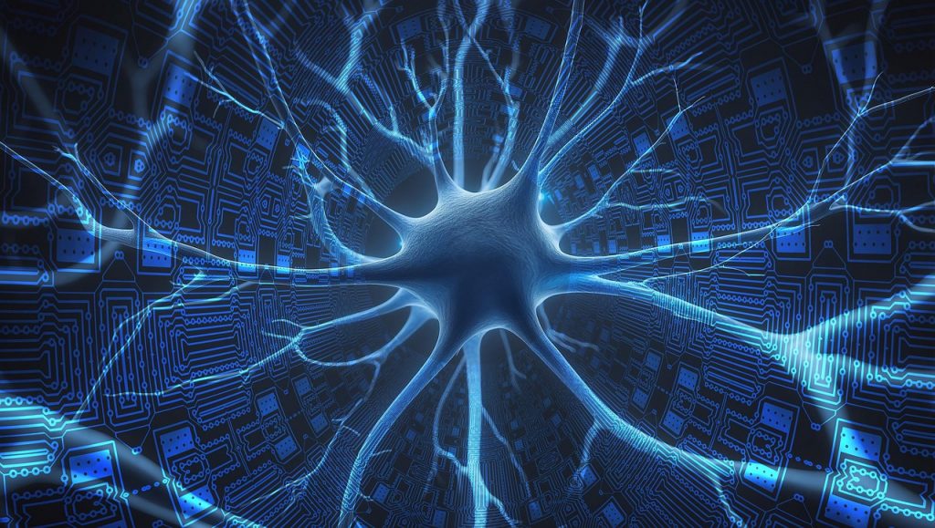 Effective Strategies for Cognitive Decline Prevention and Lower Dementia Risk