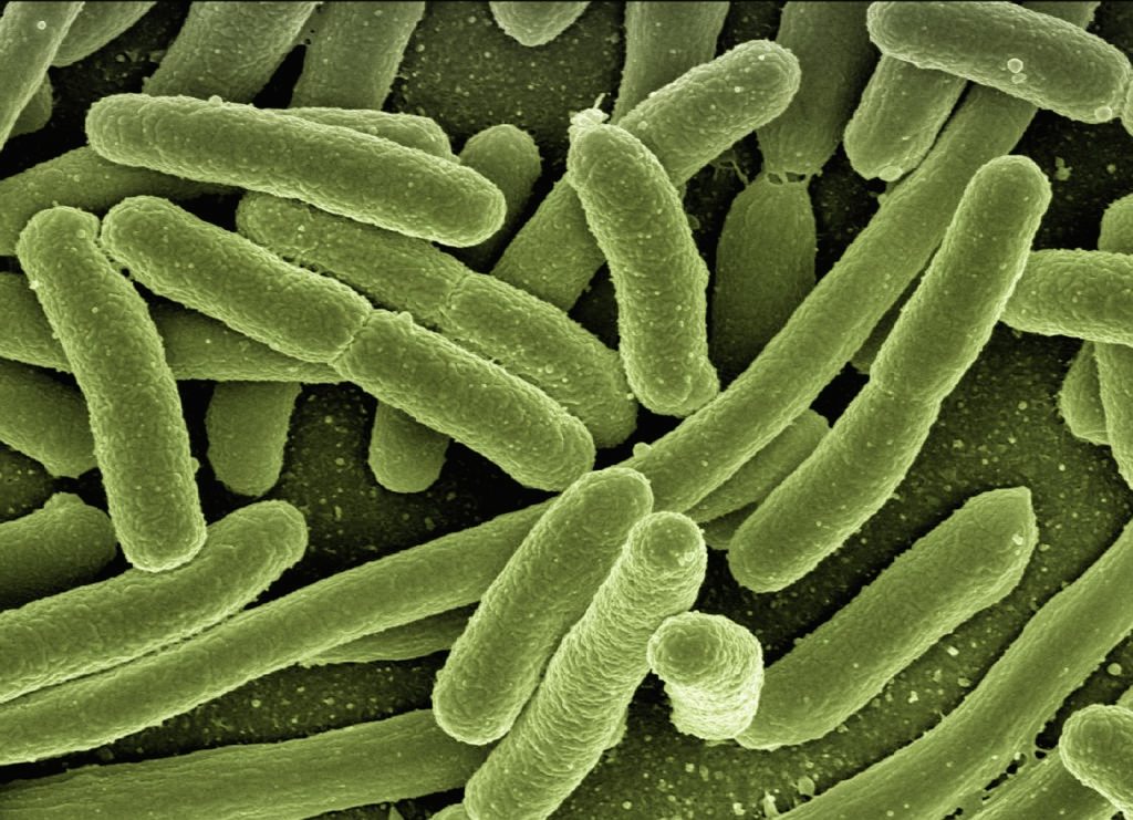 Why Common Infections Are Turning Into Superbug Threats and Tougher to Treat Why Common Infections Are Turning Into Superbug Threats and Tougher to Treat