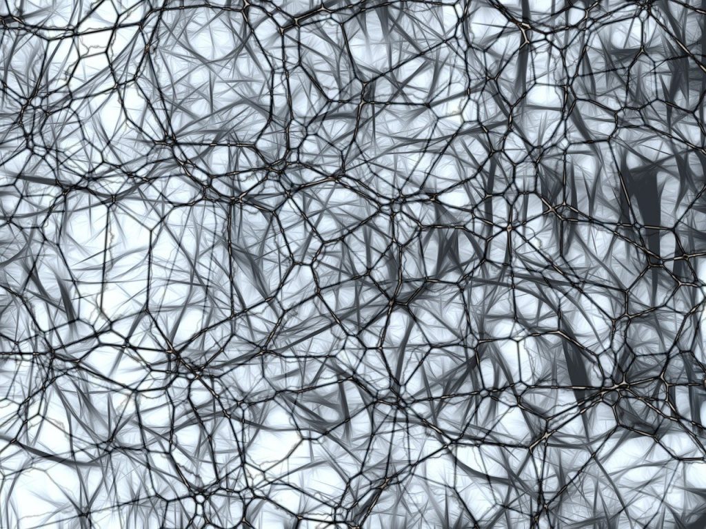 How Copper Accumulation Causes Liver Brain Damage and Treatment Options How Copper Accumulation Causes Liver Brain Damage and Treatment Options