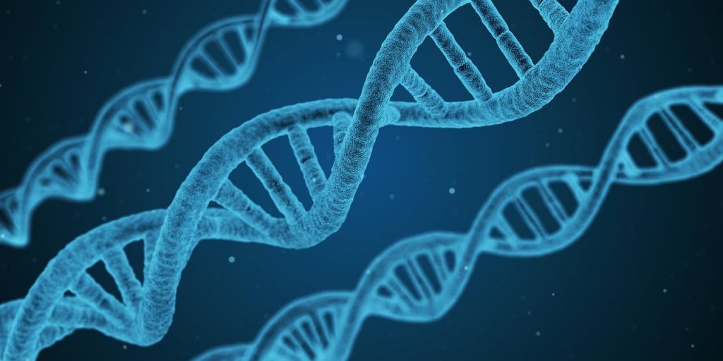 How Immune Disorders Shape Everyday Life With Chronic Illness