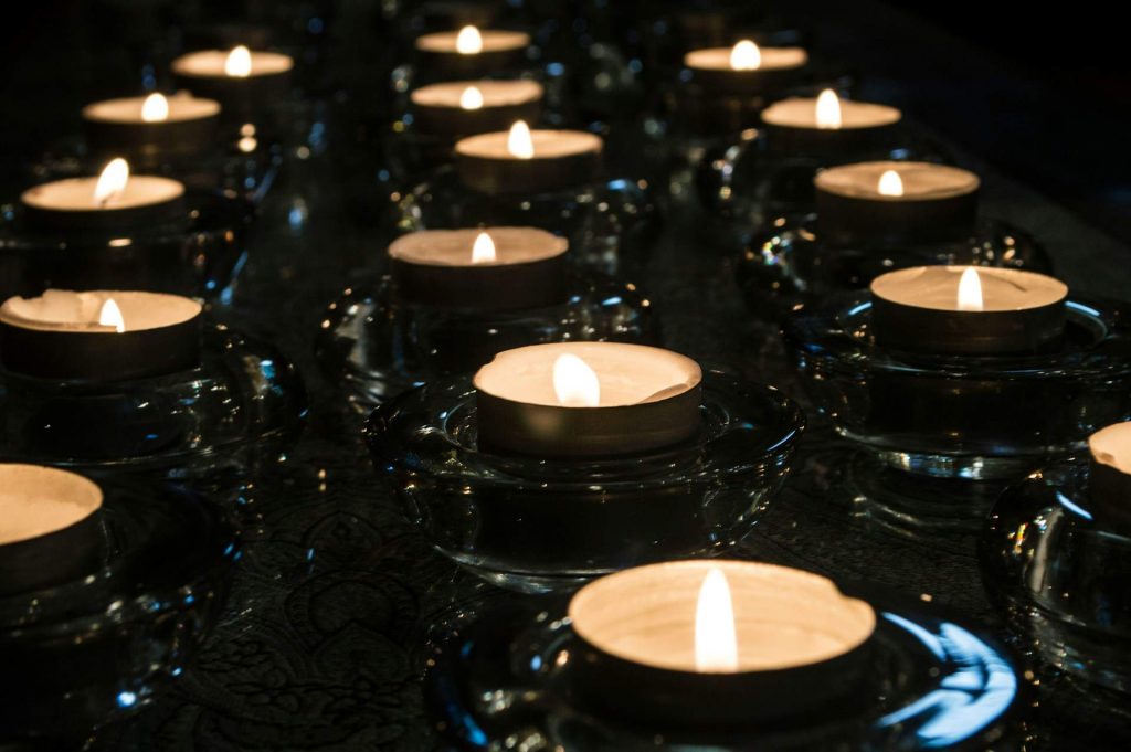 Save the Planet Through Compassion?- Mindful