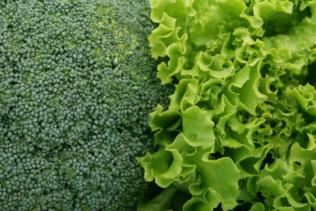 Plant-Based Diet for Heart Reversal, Cholesterol Reduction, and Easy Recipe Ideas Backed by Research Plant-Based Diet for Heart Reversal, Cholesterol Reduction, and Easy Recipe Ideas Backed by Research