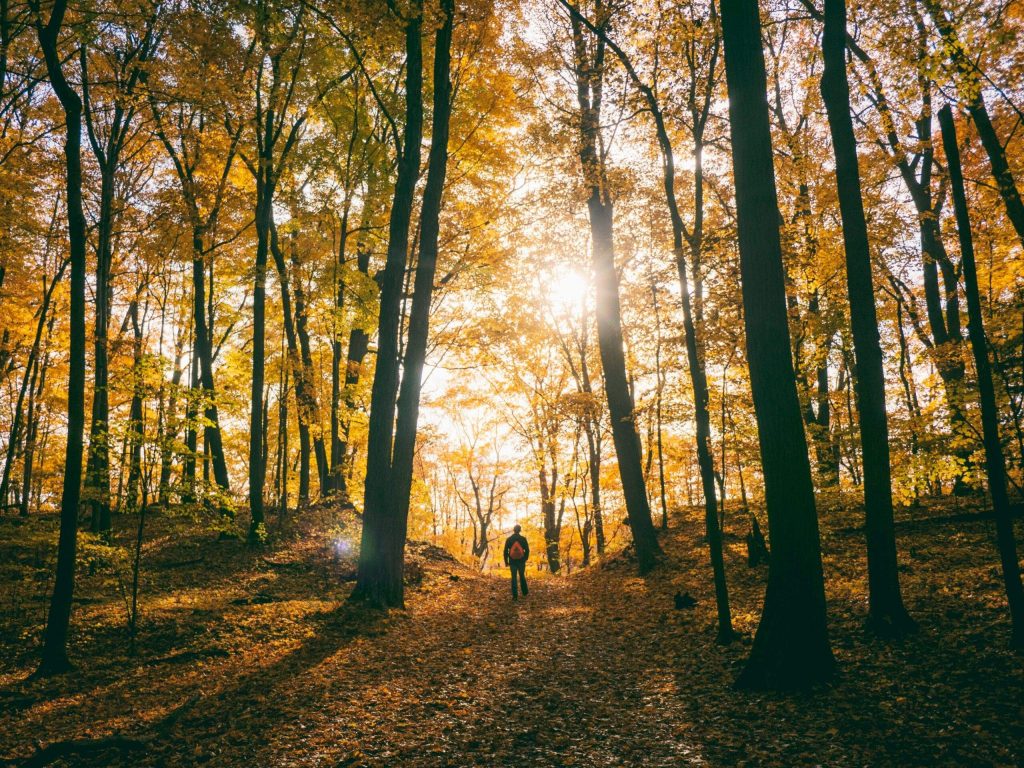 What Green Spaces Can Do For Your Body, Your Mind & Your Practice