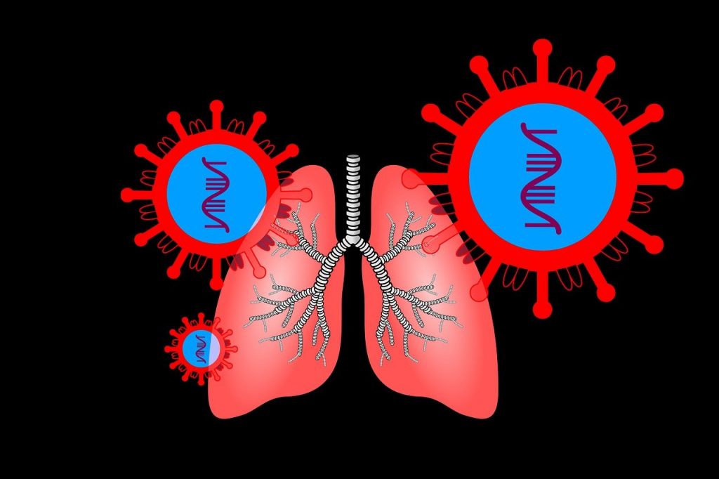 Science Reveals Incredible Body Facts Showing What the Heart Blood and Lungs Do Every Moment
