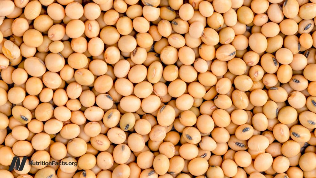 Does Less Protein Increase FGF21 for Longevity?