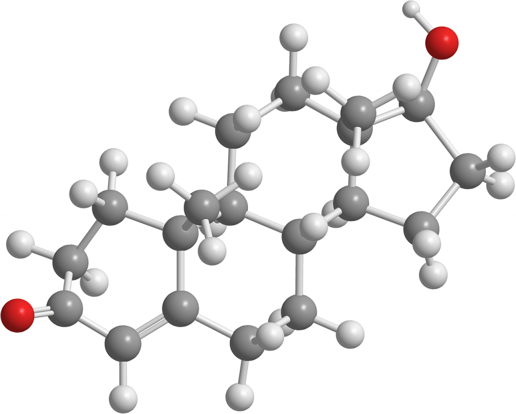 How Hormones Change Across the Day: Cortisol, Melatonin, and Energy Slumps