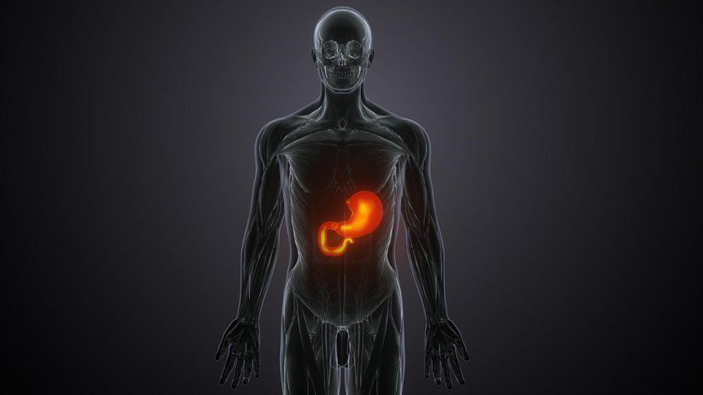 How Metabolic Flexibility and Fuel Switching Shape a Healthier Metabolism and Stronger Insulin Response