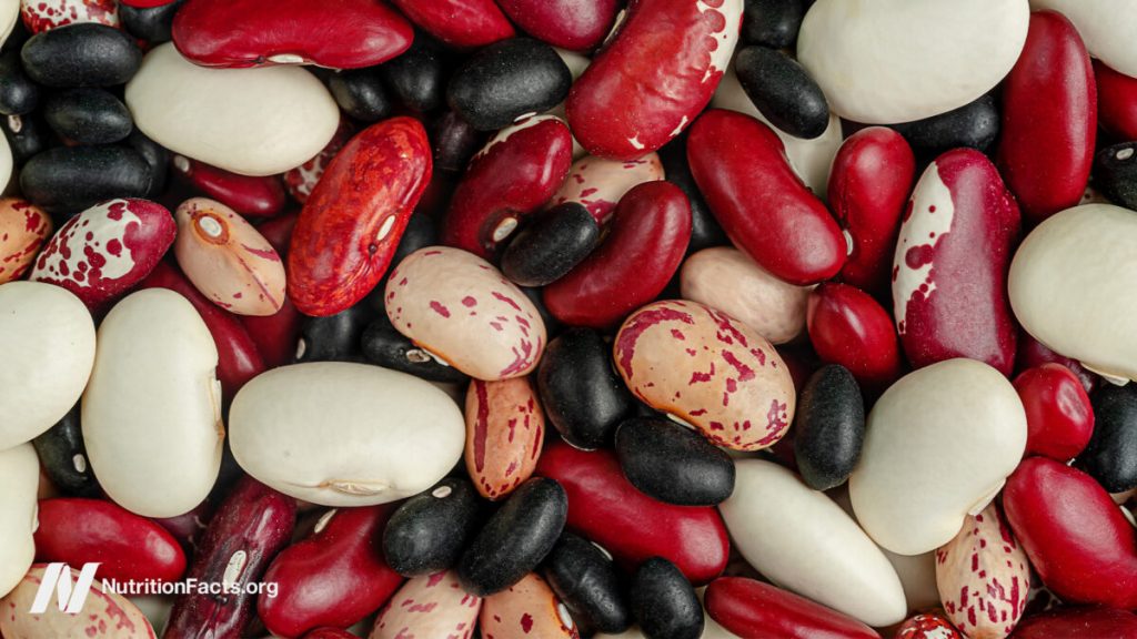 Which Beans Best Block the Spread of Cancer? Which Beans Best Block the Spread of Cancer?