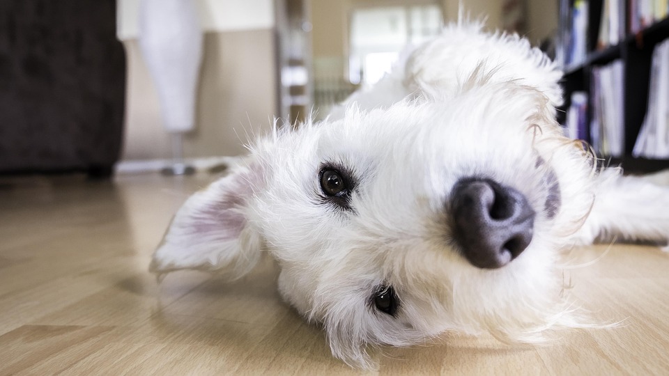 Prioritizing Your Day: How to Make Time for What Matters Most