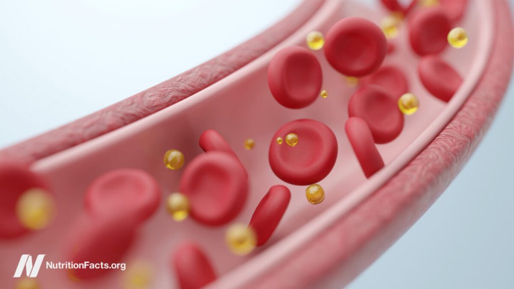 How a Single Meal Can Cripple Your Arteries and Lungs How a Single Meal Can Cripple Your Arteries and Lungs