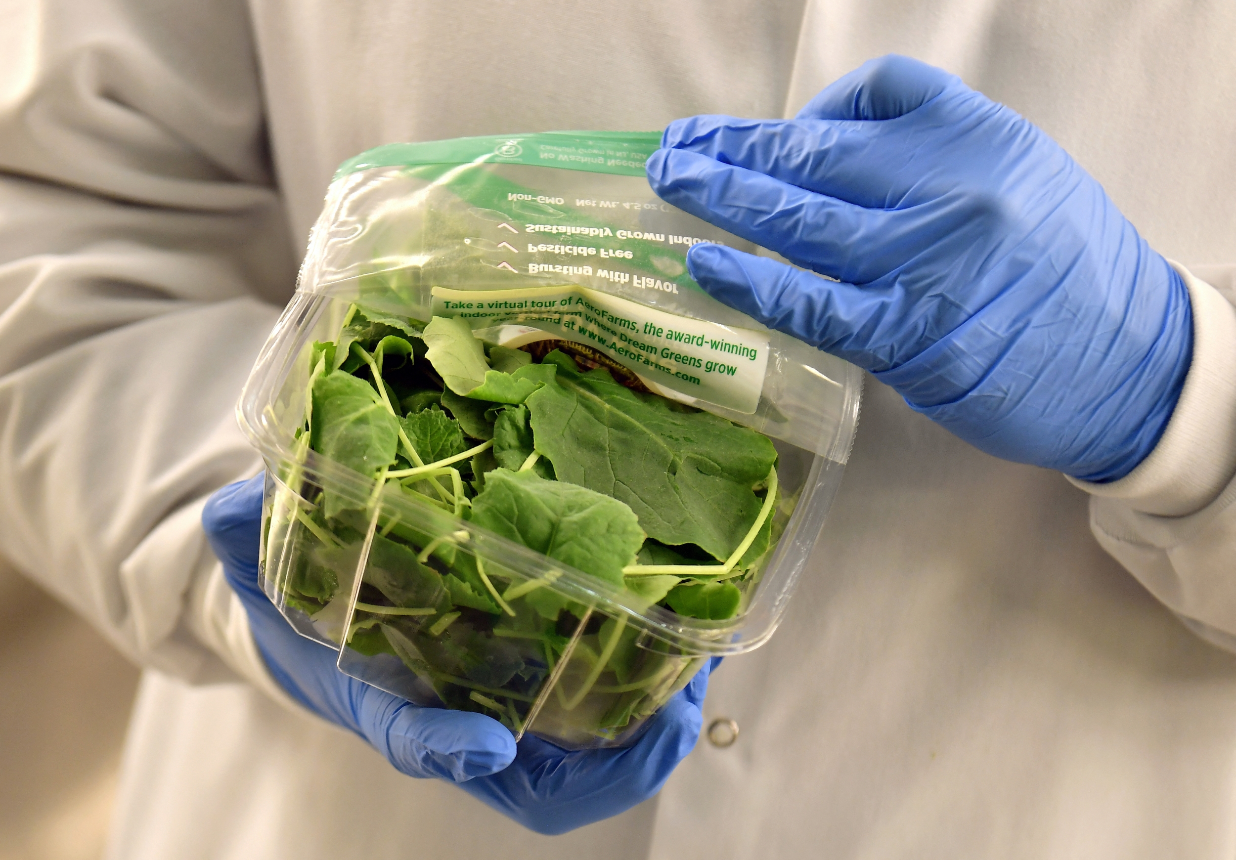 The CDC Is Investigating Multiple Cyclospora Outbreaks, and This Parasite Is Particularly Hard to Trace
