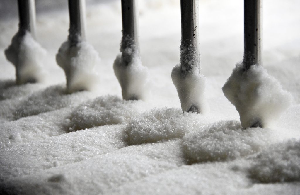 New Research Shows That Where Your Sugar Comes From May Matter More Than How Much You Eat