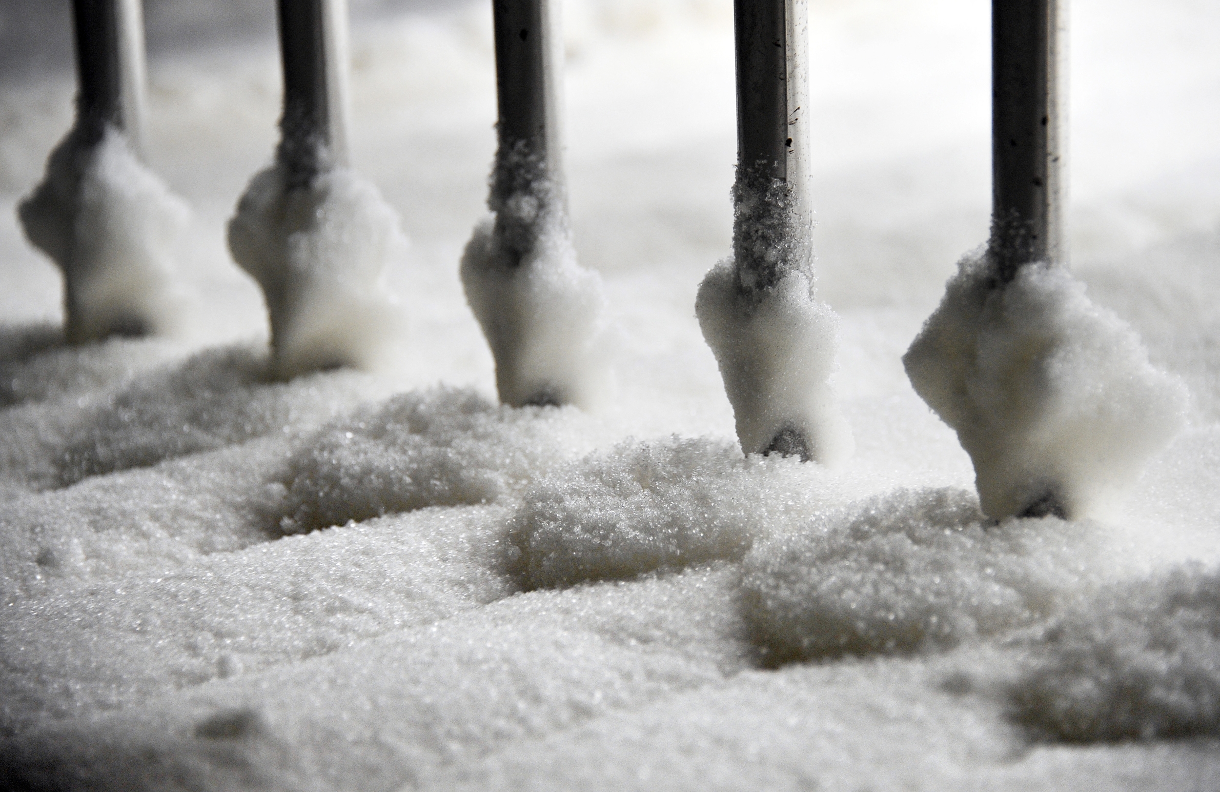New Research Shows That Where Your Sugar Comes From May Matter More Than How Much You Eat