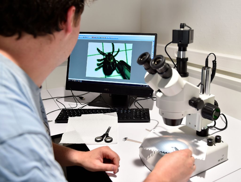Asheville Area Ticks Carry Lyme Bacteria at Northeast Levels, While Local Doctors Were Trained to Call It Rare Asheville Area Ticks Carry Lyme Bacteria at Northeast Levels, While Local Doctors Were Trained to Call It Rare