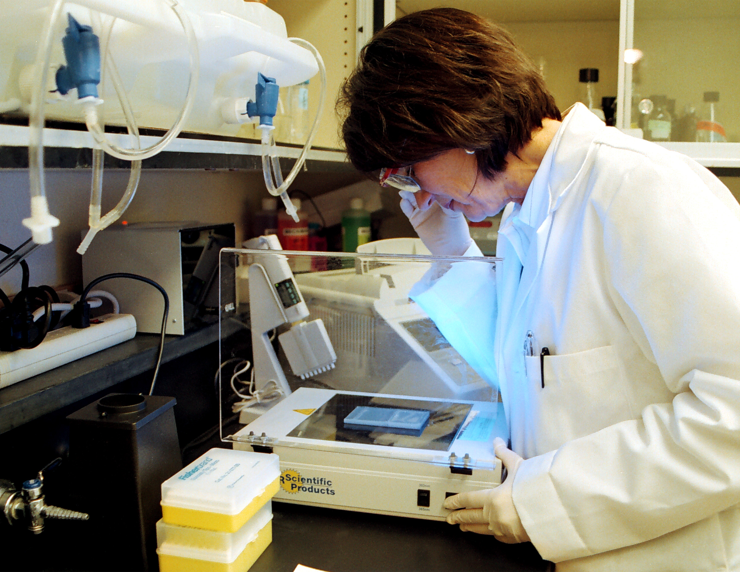 Congressional Panel Says the United States Is Losing Its Lead on Rare Disease Cures