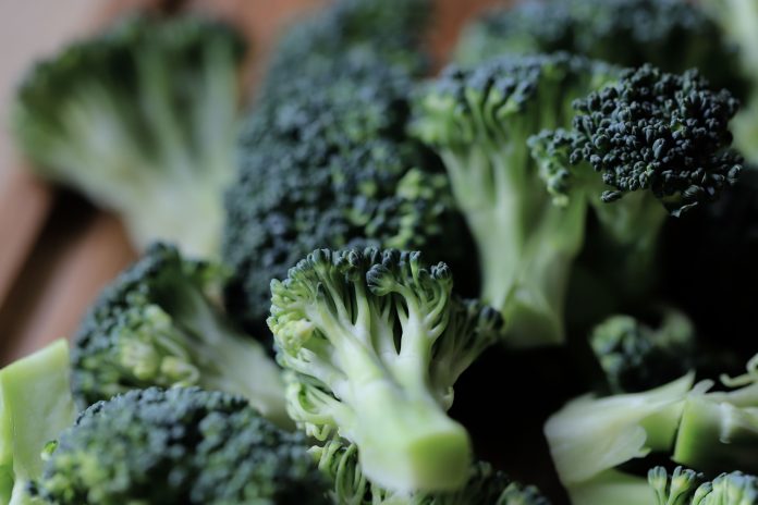 Home Sprouters Told to Discard Gardeners Basics Broccoli Seeds Sold Online After Salmonella Found in Supplier Lot