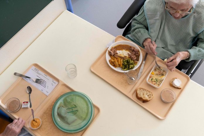 Closer MIND Diet Adherence Linked to Slower Gray Matter Loss in 1,647 Framingham Adults Followed About 12 Years